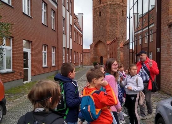 Grafika 28: Rajdy piesze i rowerowe w ramach ETZT