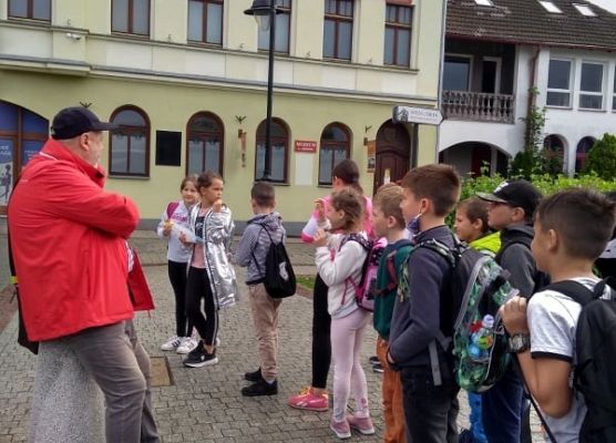 Grafika 30: Rajdy piesze i rowerowe w ramach ETZT