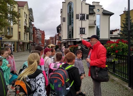 Grafika 31: Rajdy piesze i rowerowe w ramach ETZT