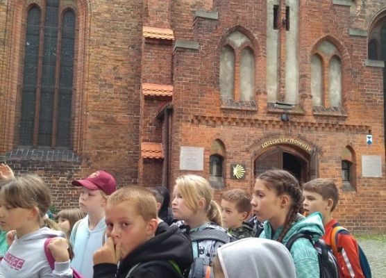 Grafika 32: Rajdy piesze i rowerowe w ramach ETZT