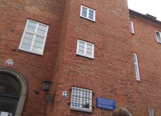 Grafika 19: Rajdy piesze i rowerowe w ramach ETZT