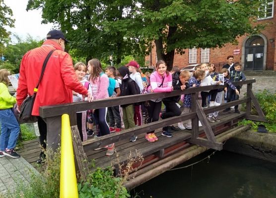 Grafika 34: Rajdy piesze i rowerowe w ramach ETZT