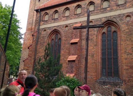 Grafika 24: Rajdy piesze i rowerowe w ramach ETZT