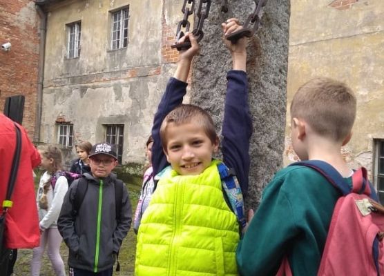 Grafika 26: Rajdy piesze i rowerowe w ramach ETZT