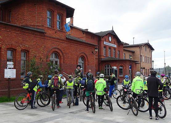 Grafika 1: Rajdy piesze i rowerowe w ramach ETZT