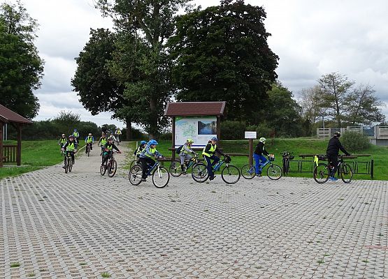 Grafika 8: Rajdy piesze i rowerowe w ramach ETZT