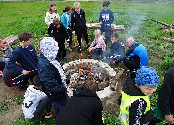 Grafika 11: Rajdy piesze i rowerowe w ramach ETZT