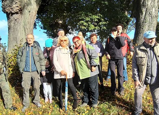 Grafika 1: Poznawali piękno gminy Potęgowo