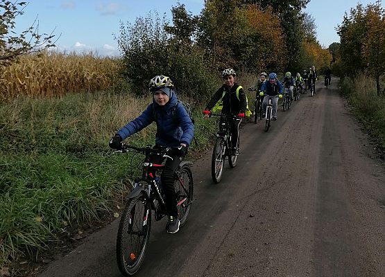 Grafika 3: Poznawali piękno gminy Potęgowo