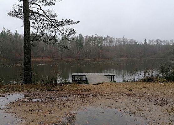 Grafika 5: Późną jesienią po gminie Cewice