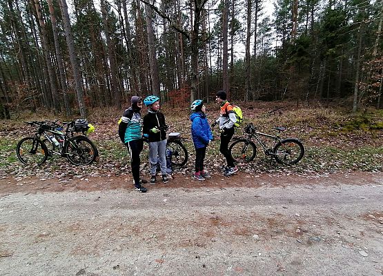 Grafika 4: Późną jesienią po gminie Cewice