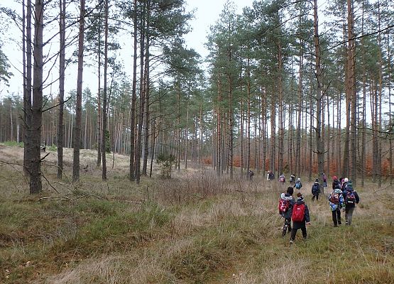 Grafika 2: Późną jesienią po gminie Cewice