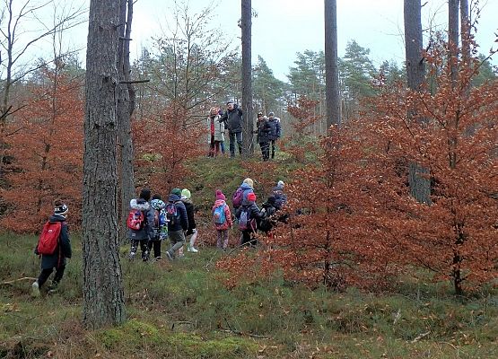 Grafika 1: Późną jesienią po gminie Cewice