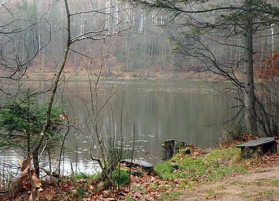 Grafika 6: Późną jesienią po gminie Cewice