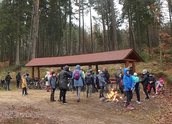 Grafika 7: Późną jesienią po gminie Cewice