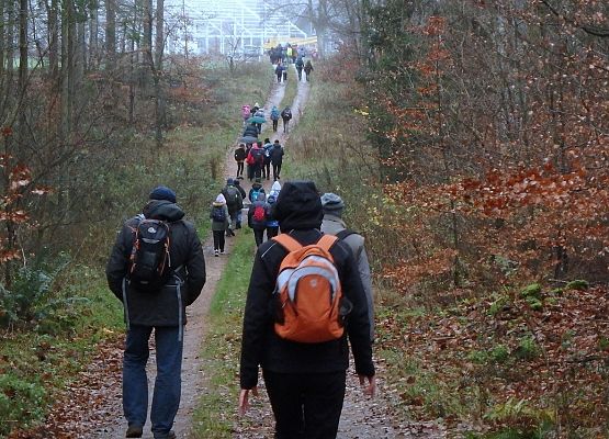 Grafika 11: Późną jesienią po gminie Cewice