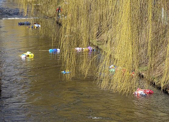 Grafika 13: Przywitaliśmy wiosnę