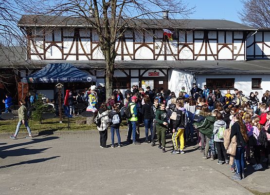 Grafika 19: Przywitaliśmy wiosnę