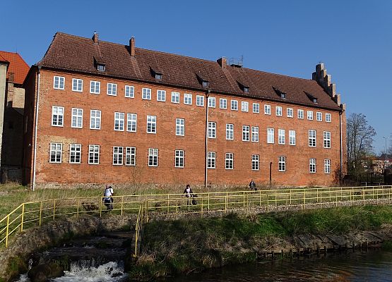 Grafika 3: Czystsza rzeka Łeba