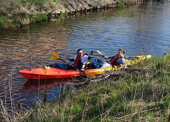 Grafika 4: Czystsza rzeka Łeba