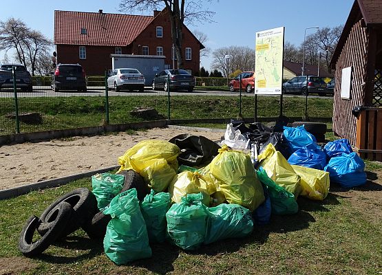 Grafika 17: Czystsza rzeka Łeba