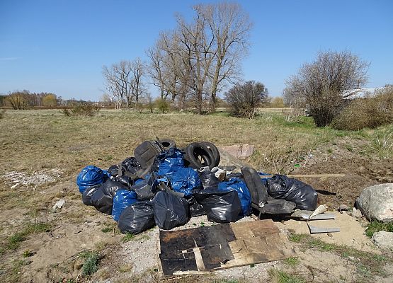 Grafika 19: Czystsza rzeka Łeba