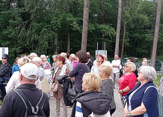 Grafika 11: Wędrówki po atrakcjach Lęborka