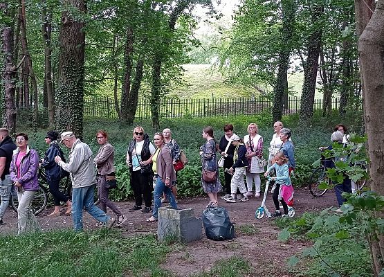 Grafika 19: Wędrówki po atrakcjach Lęborka