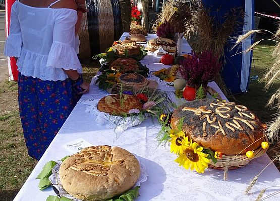 Grafika 8: Dożynek czas