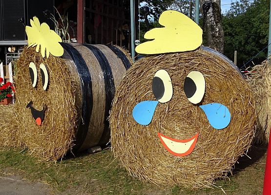 Grafika 12: Dożynek czas