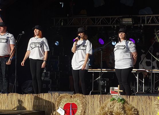 Grafika 14: Dożynek czas