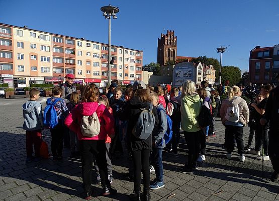 Grafika 7: Obchody Europejskiego Tygodnia Zrównoważonego Transportu