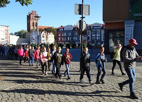 Grafika 8: Obchody Europejskiego Tygodnia Zrównoważonego Transportu