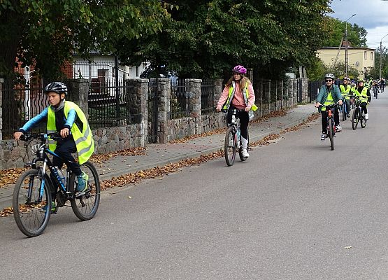 Grafika 13: Obchody Europejskiego Tygodnia Zrównoważonego Transportu