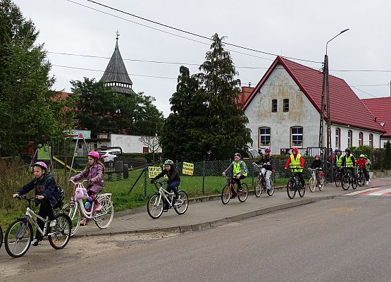 Grafika 17: Obchody Europejskiego Tygodnia Zrównoważonego Transportu
