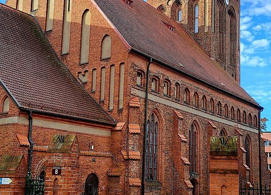 Odkrywam nieznane – szersza oferta dla szkół", Autor zdjęć: Henryk Sęk#9