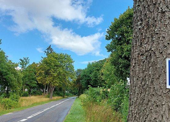 Odnowienie oznakowania szlaku św. Jakuba w powiecie lęborskim#1