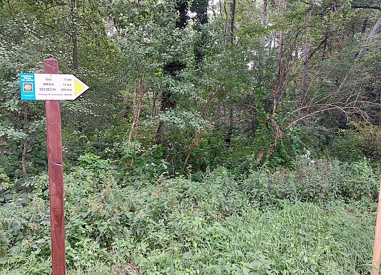 Odnowienie oznakowania szlaku św. Jakuba w powiecie lęborskim#4