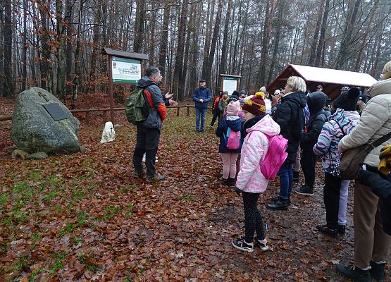 Grafika 1: Jesienią po gminie Cewice
