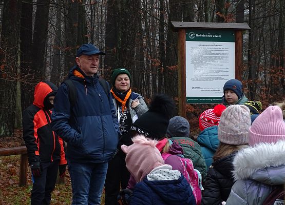 Grafika 2: Jesienią po gminie Cewice