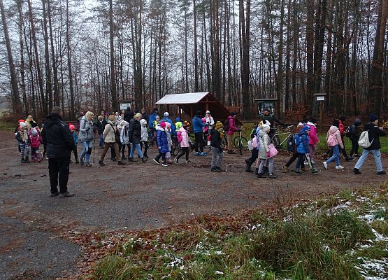 Grafika 3: Jesienią po gminie Cewice