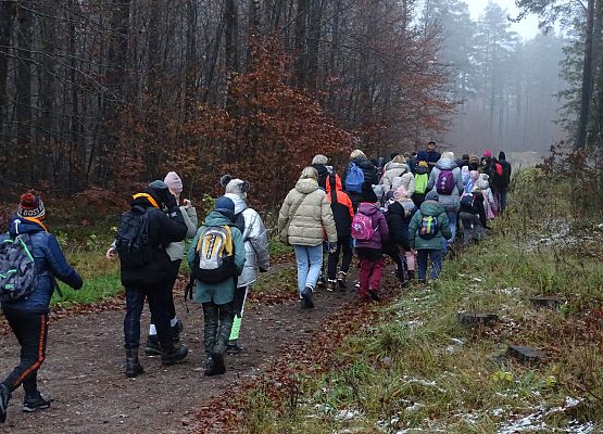 Grafika 4: Jesienią po gminie Cewice