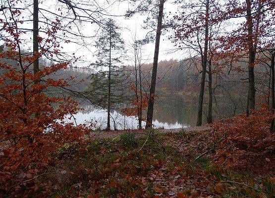 Grafika 5: Jesienią po gminie Cewice