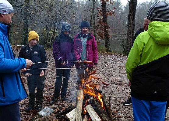 Grafika 11: Jesienią po gminie Cewice