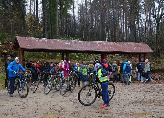 Grafika 7: Jesienią po gminie Cewice