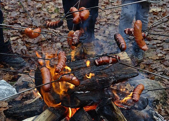 Grafika 12: Jesienią po gminie Cewice