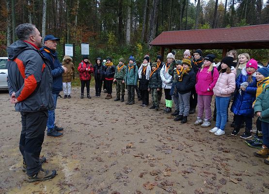Grafika 13: Jesienią po gminie Cewice