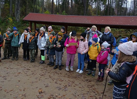 Grafika 16: Jesienią po gminie Cewice