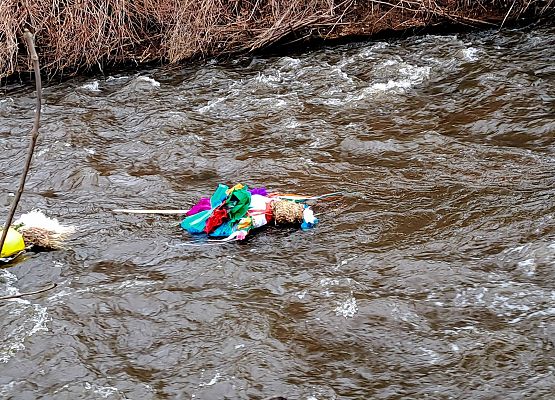 Grafika 46: Witaj wiosno, żegnaj zimo!