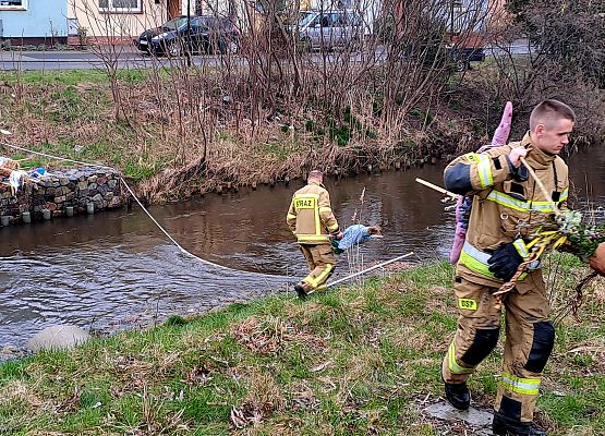 Grafika 48: Witaj wiosno, żegnaj zimo!
